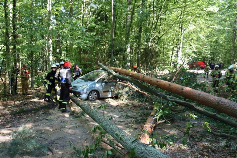 Groźne zdarzenia na terenie gminy Komarówka Podlaska