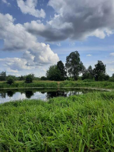 Sołtys Wajkowa w Dniu Sołtysa: „Jestem po to, by ludziom pomagać”